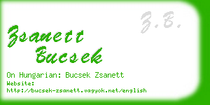 zsanett bucsek business card
